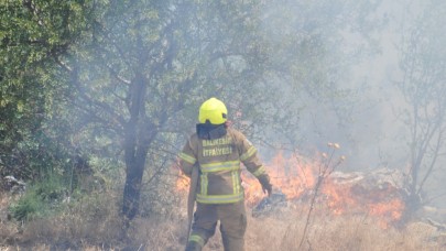 Balıkesir itfaiyesi 12 günde 971 yangına müdahale etti