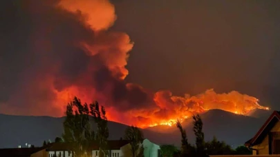 İzmir Çeşme'deki yangın kontrol altına alındı