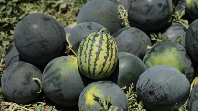 Adana'dan ülkedeki tüm belediyelere "karpuz alın" çağrısı