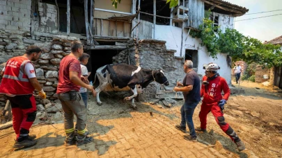 İzmir'deki yangınlarda binlerce hayvan alevlerden kurtarıldı