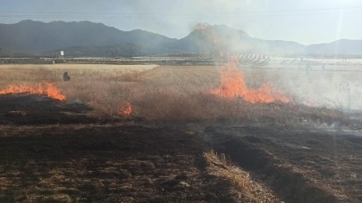 TZOB: Anız yakmak çiftçinin maliyetini artırır