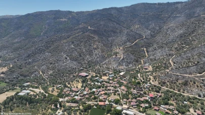 İzmir'in yeşili yandı; dağlar, tepeler, ovalar çıplak kaldı