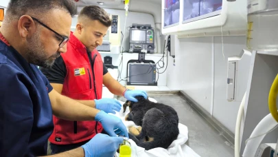 Konya'da kanalizasyon borusunda kalan köpek kurtarıldı