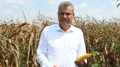 CHP'li Barut: "Mısır ithalatı kararı üreticiye darbedir"