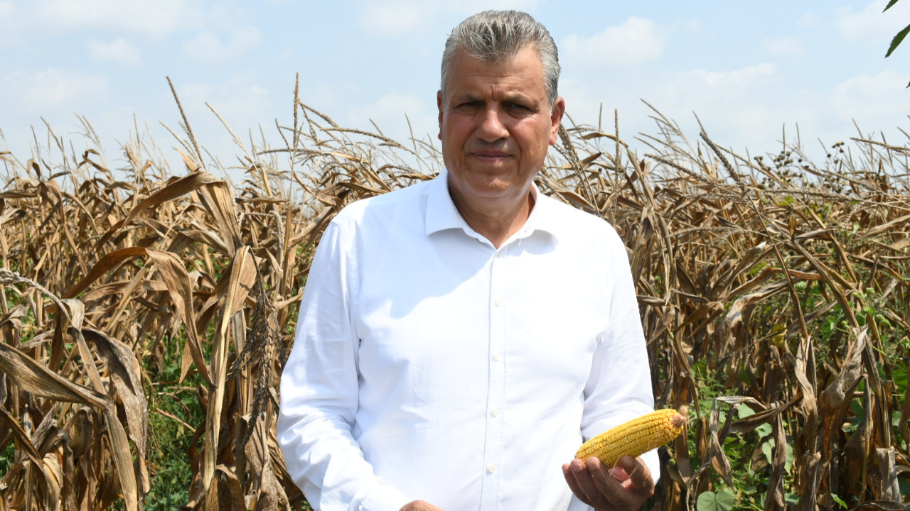 CHP'li Barut: "Mısır ithalatı kararı üreticiye darbedir"