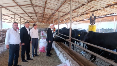 TZOB: Bu yıl görülen şap virüsü daha ölümcül ve tehlikeli