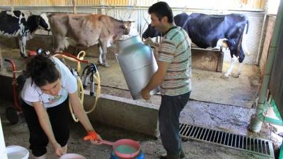 Çiğ süt fiyatına Adana'dan sert tepki