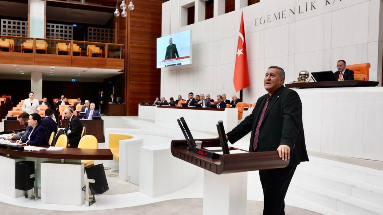 Çin tuzunun yasaklanması için kanun teklifi TBMM'ye sunuldu