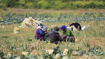 Tarımda üretici enflasyonu aylık yüzde 18,82 oldu