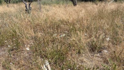 Sıcaklık artacak nem düşecek yangınlara yol açmayalım