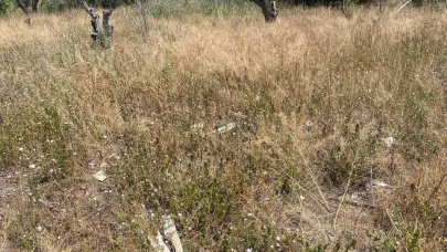 Sıcaklık artacak nem düşecek yangınlara yol açmayalım