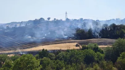 Malkara'da anız yangını 200 dönüm alana zarar verdi