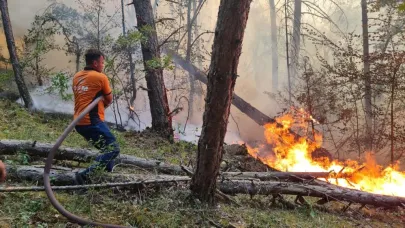 Bakan Yumaklı: Yılbaşından bu yana çıkan yangın 4 bini geçti