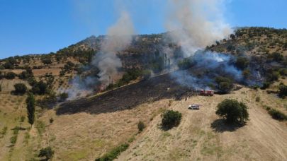 Manisa Demirci'deki orman yangını söndürüldü