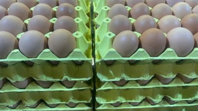 Yumurta 1,5 dolarlık fon kaldırıldı