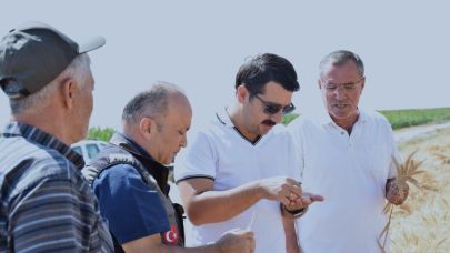 Karapınar'da sezonun son buğday hasadı yapıldı
