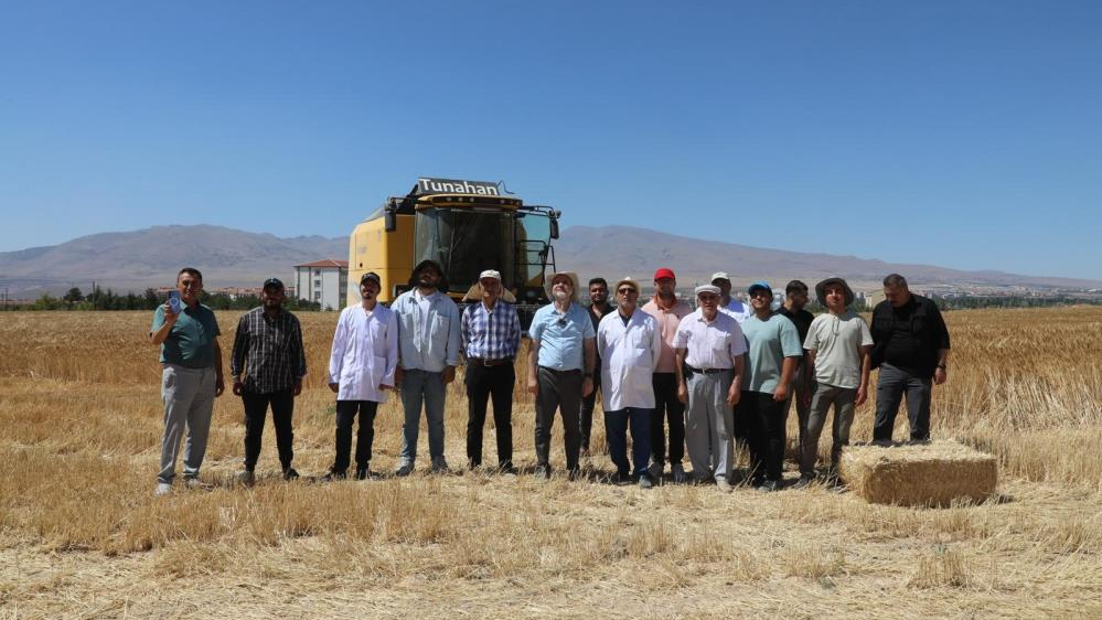 NÖHÜ'de arpa ve buğday hasadı başladı