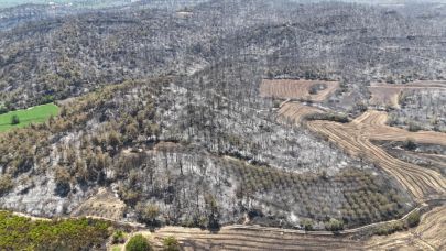 Bilecik'te yanan ormanlık alan havadan görüntülendi