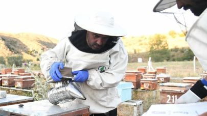 Pursaklar’da bal hasadı başladı