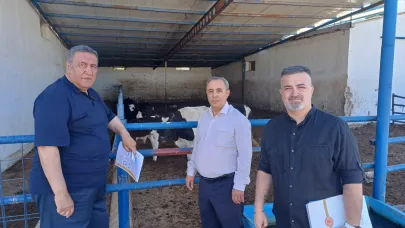 CHP'li Gürer: "Yem, çoban, aşı ithal; hayvan ve et de ithal"
