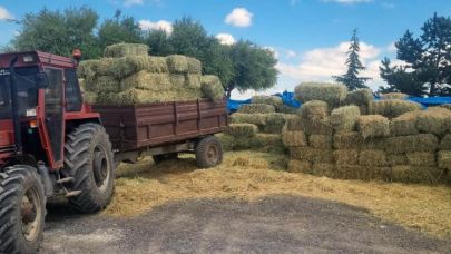 Talas Belediyesi’nden yem desteği