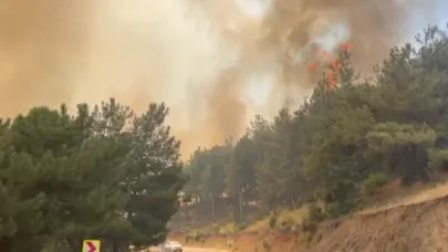 Bursa'da 4 noktada yangın tekrar alevlendi