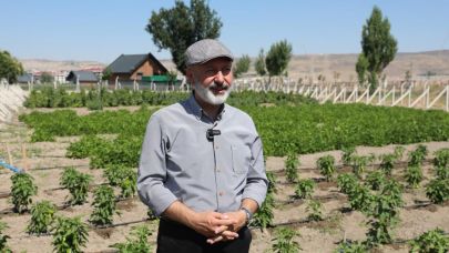 Kocasinan belediyesi yerel tohumları koruyor