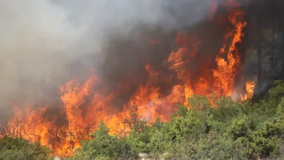 Bursa'da havai fişekle yangın çıkaran 4 kişi yakalandı