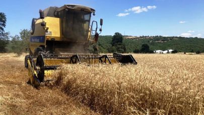 Samsun bitkisel üretimde hedef büyüttü