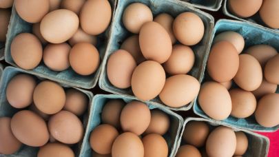 Yumurta ihracatçısı "şampiyonlar ligi"ni hedefliyor