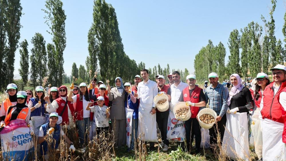 ‘Gönüllü Hasat Etkinliği’ ile gençler tarım yapıyor