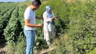 Söke’de ekipler sahaya indi, tuzaklar kontrol edildi