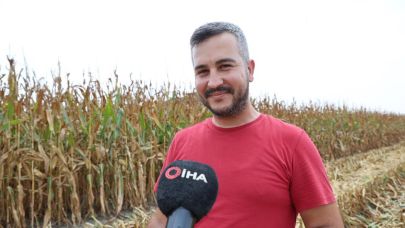 Adana'da mısır hasadı çiftçinin yüzünü güldürdü