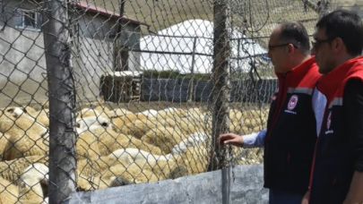 Bayburt'ta küçükbaş hayvan işletmeleri incelendi