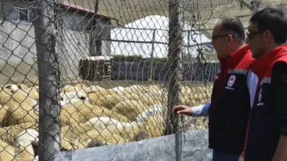 Bayburt'ta küçükbaş hayvan işletmeleri incelendi