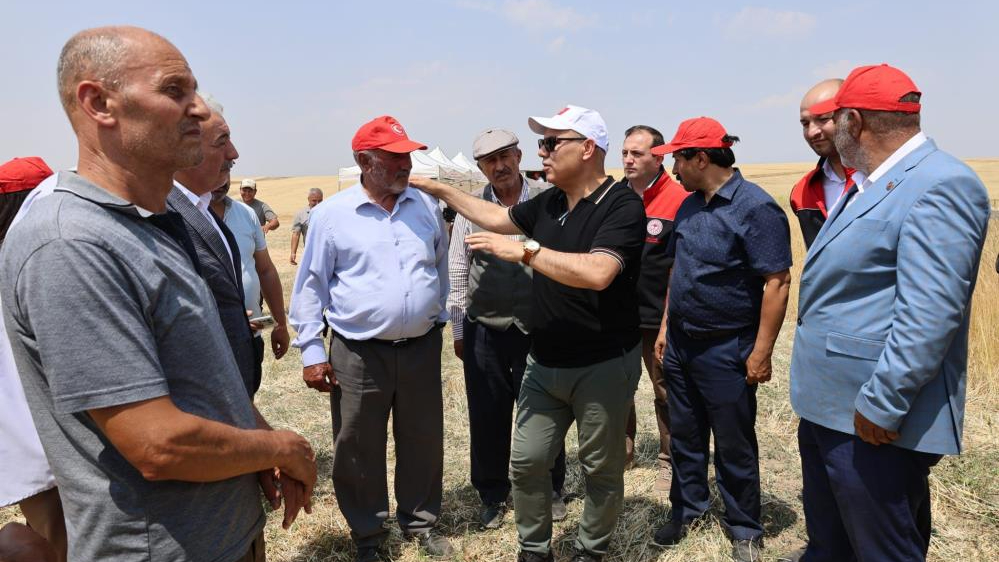 Ağrı'da çiftçinin hasat mesaisi başladı