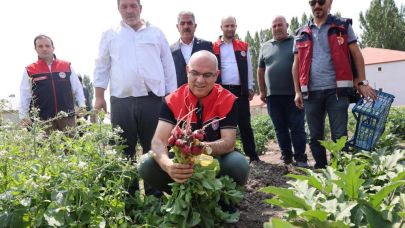 Ağrı'da hibeli sebze üretimi meyvesini verdi