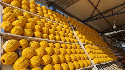 Her gördüğünüzü kavun sanmayın