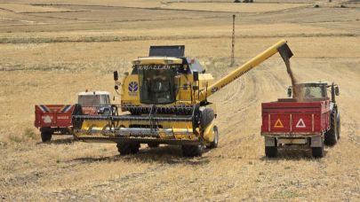 Sorgunlu üretici nohut için tescil istiyor