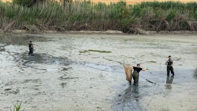 Kuruyan gölette mahsur kalan balıklar kurtarıldı