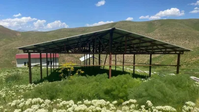 Siirt’te mera ıslah projesi hayata geçirildi