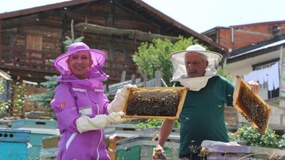 Dünyaca ünlü Anzer balı kovanlarında sağım gerçekleştirildi