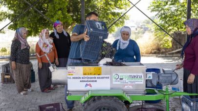 Tarsus'ta üreticilere üzüm sıkma makinesi desteği