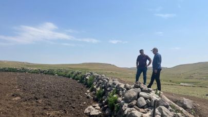 Kars’ta şap hastalığıyla mücadele sürüyor