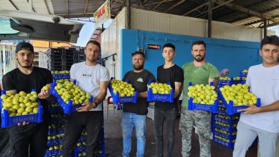 Buharkent'te 25 bin ton rekolte bekleniyor