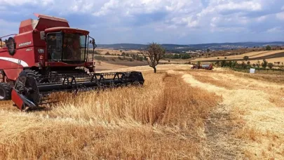 Kütahya’da hububat hasat kontrolleri devam ediyor