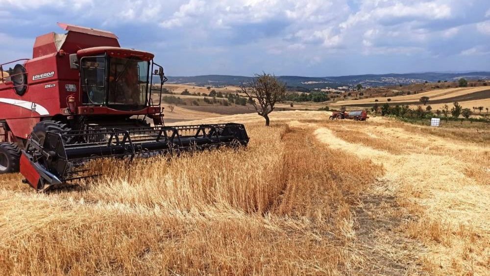 Kütahya’da hububat hasat kontrolleri devam ediyor