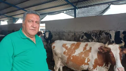 CHP'li Gürer: "Bir litre çiğ süt bir bardak çay etmiyor"