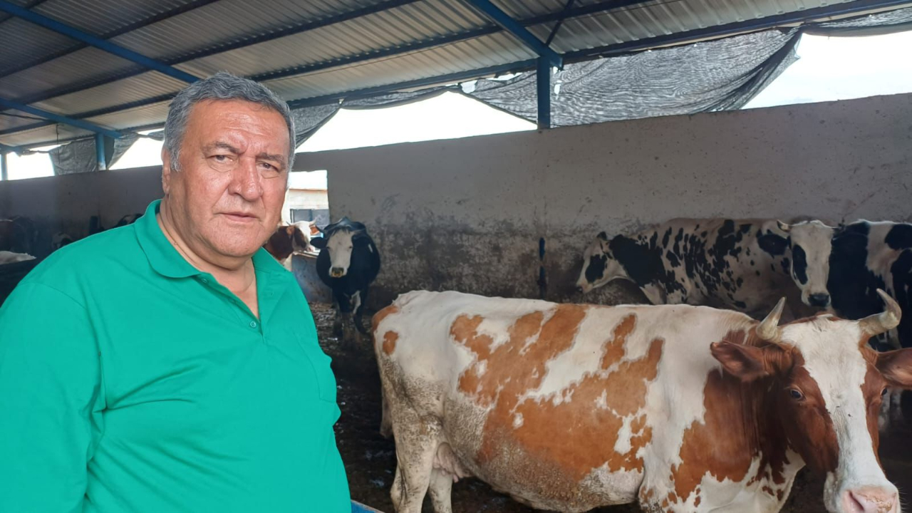 CHP'li Gürer: "Bir litre çiğ süt bir bardak çay etmiyor"