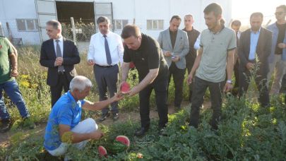 Erzincan karpuzunun hasadı başladı